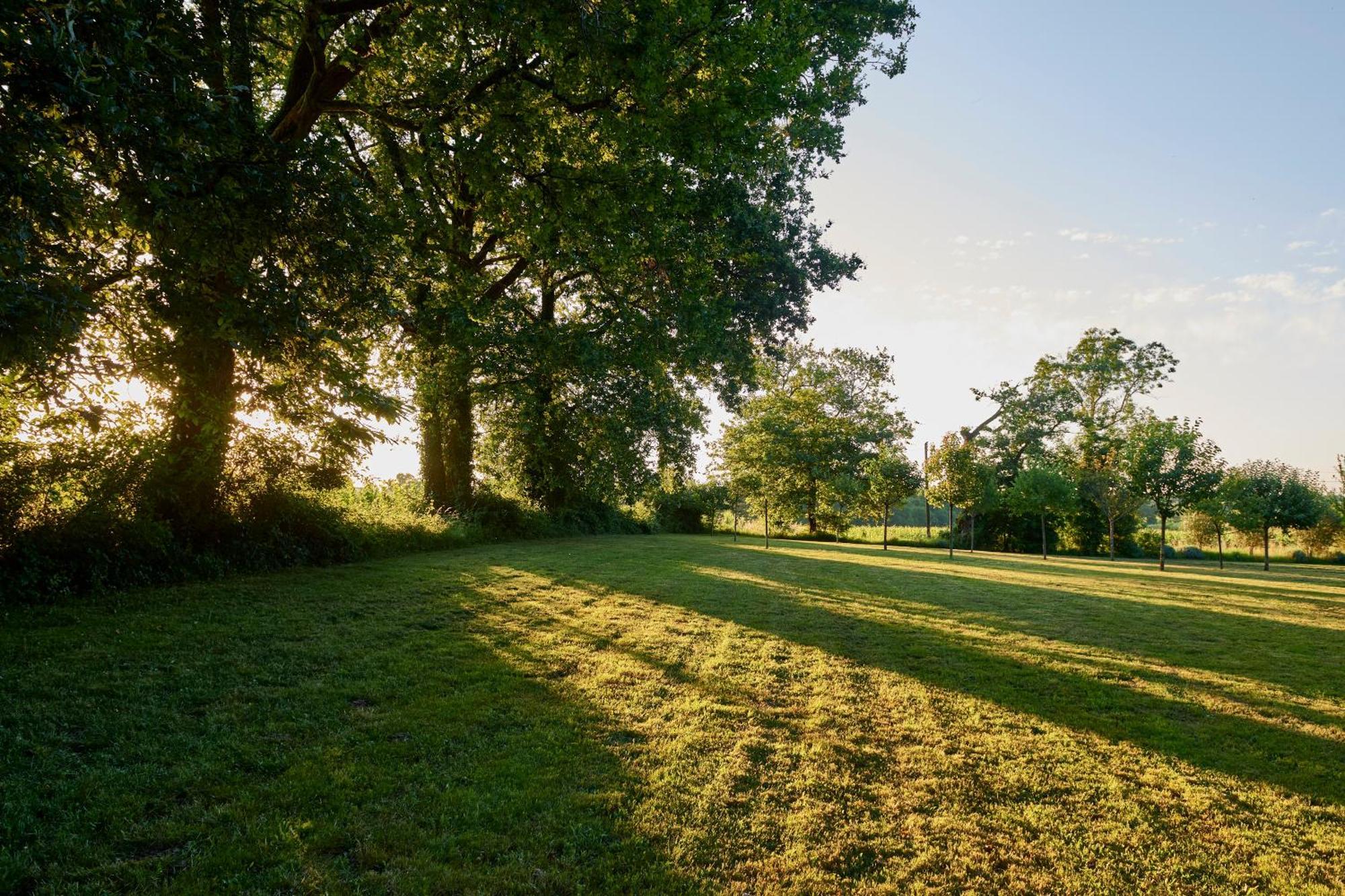 D'hôtes La Sauvageonne Saint-Palais (Gironde)